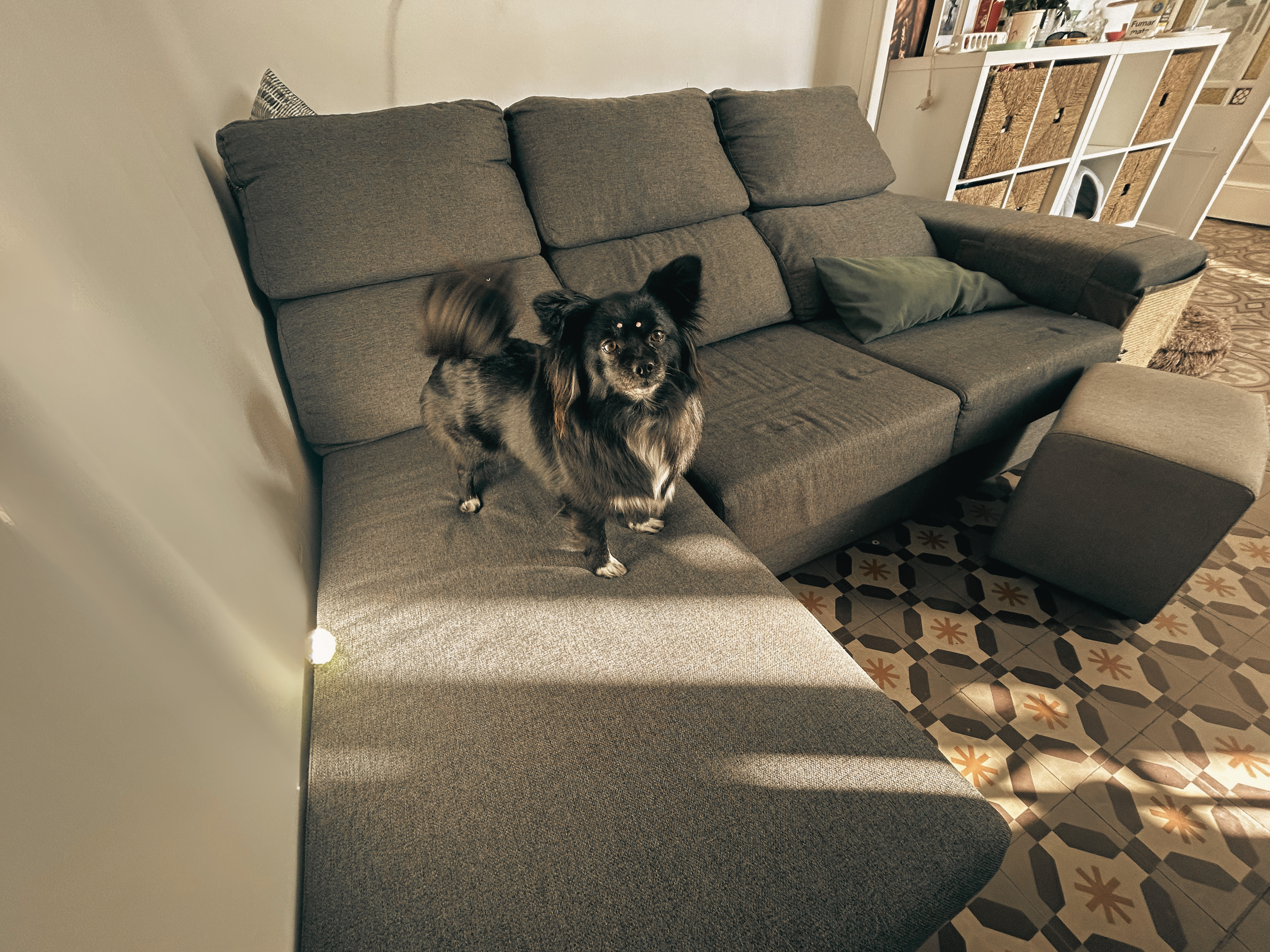Sofa after cleaning